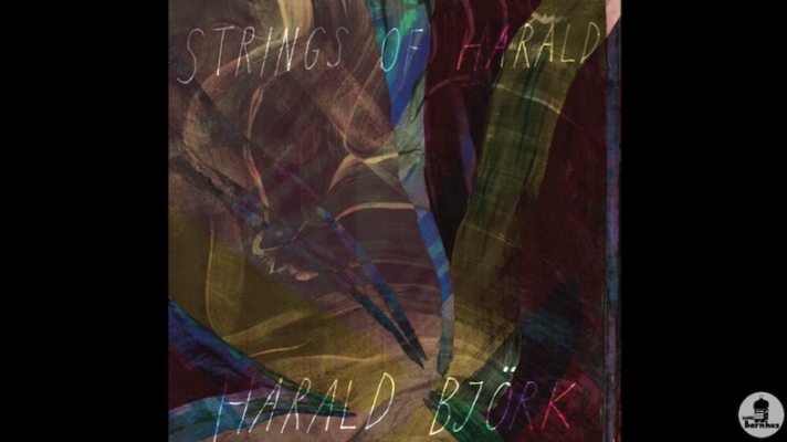 Harald Björk ‎– Strings of Harald [Derrick May]