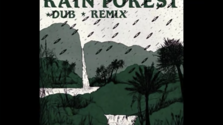 Paul Hardcastle – Rain Forest [Frank Hatchett]