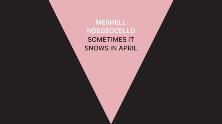 Meshell Ndegeocello – Sometimes It Snows in April [Prince]